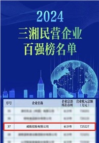 喜讯｜威胜控股上榜2024三湘民营企业百强榜单，排名第37位