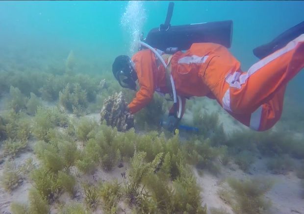 zoty中欧体育·(中国集团)官方网站