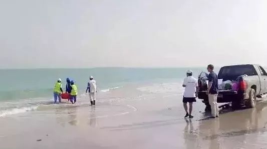 zoty中欧体育·(中国集团)官方网站