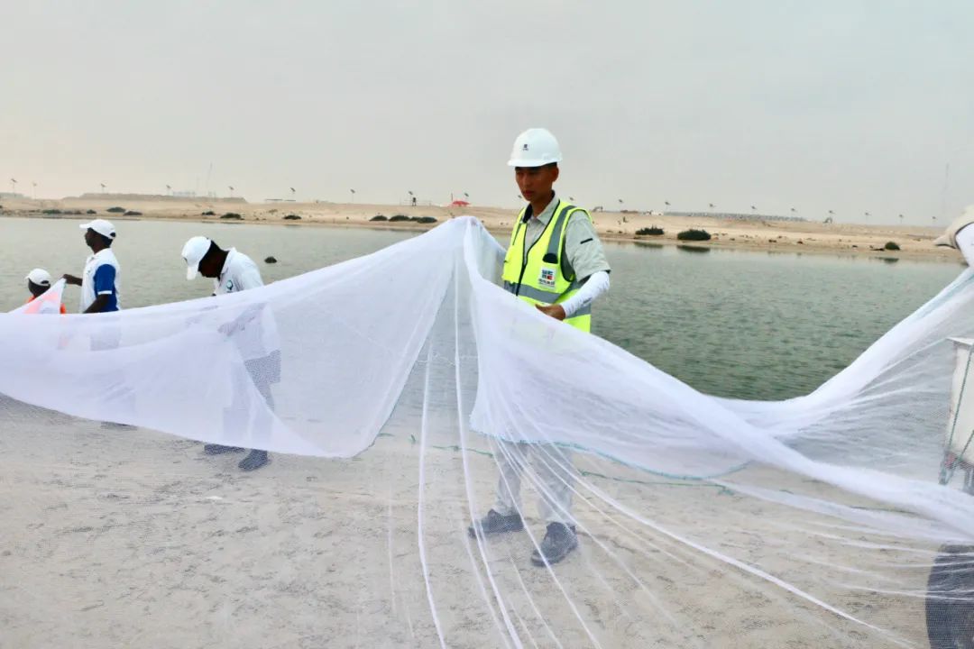 zoty中欧体育·(中国集团)官方网站