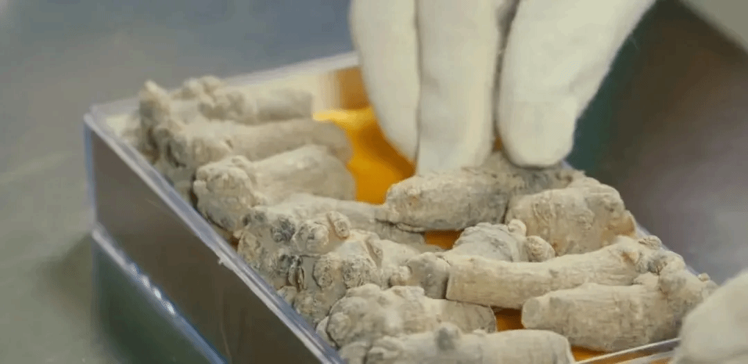 zoty中欧体育·(中国集团)官方网站