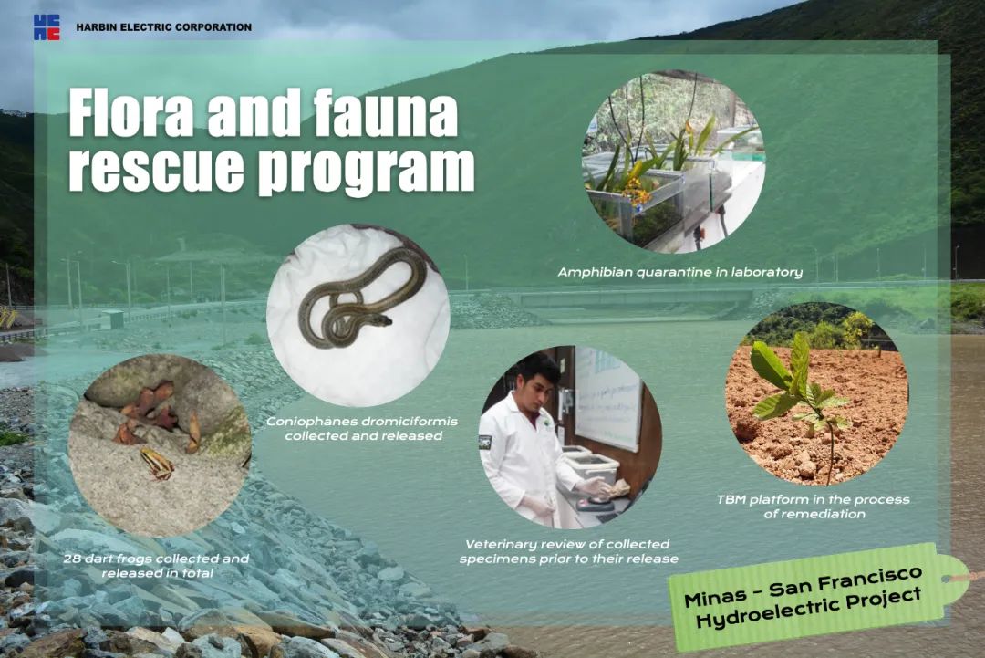 zoty中欧体育·(中国集团)官方网站