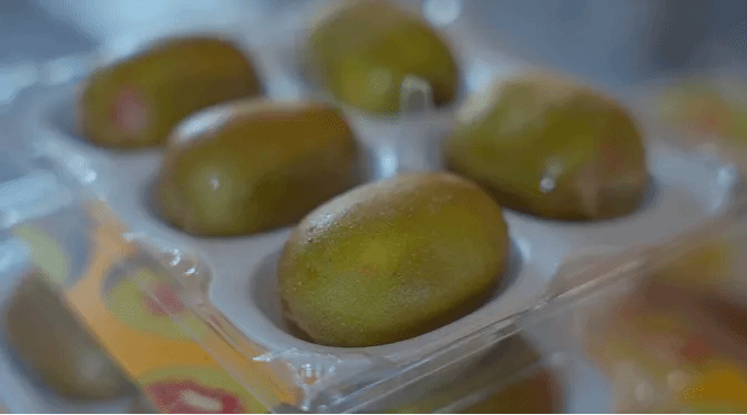 zoty中欧体育·(中国集团)官方网站