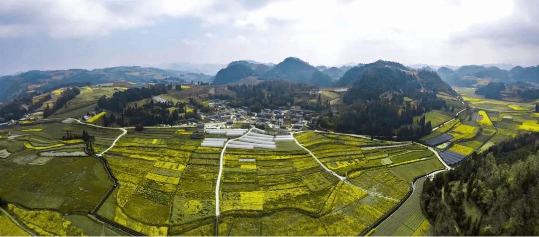 zoty中欧体育·(中国集团)官方网站