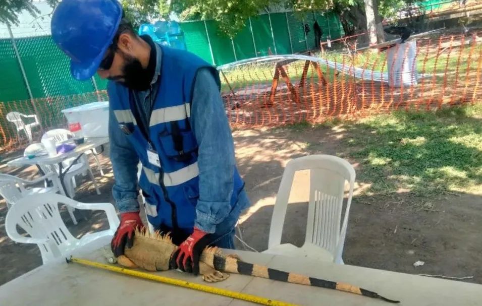 zoty中欧体育·(中国集团)官方网站