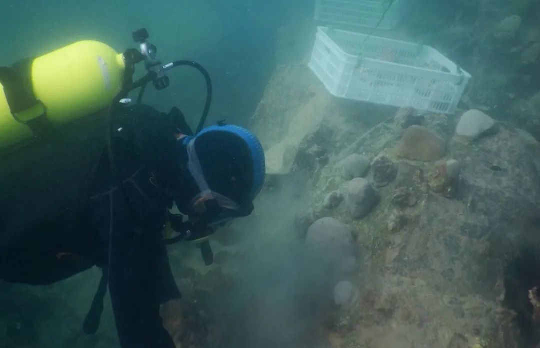 zoty中欧体育·(中国集团)官方网站