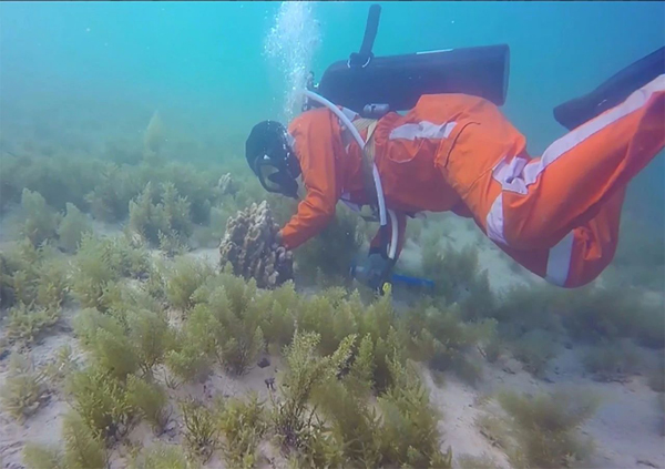 zoty中欧体育·(中国集团)官方网站