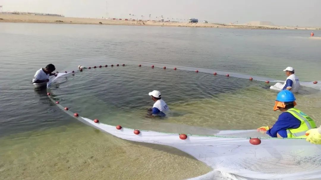 zoty中欧体育·(中国集团)官方网站