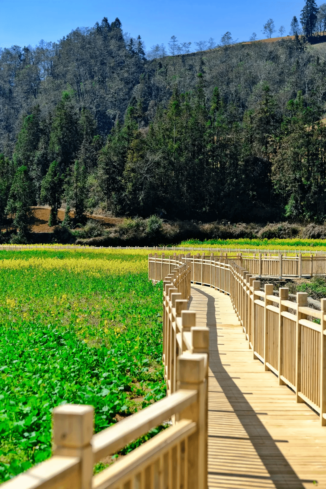 zoty中欧体育·(中国集团)官方网站