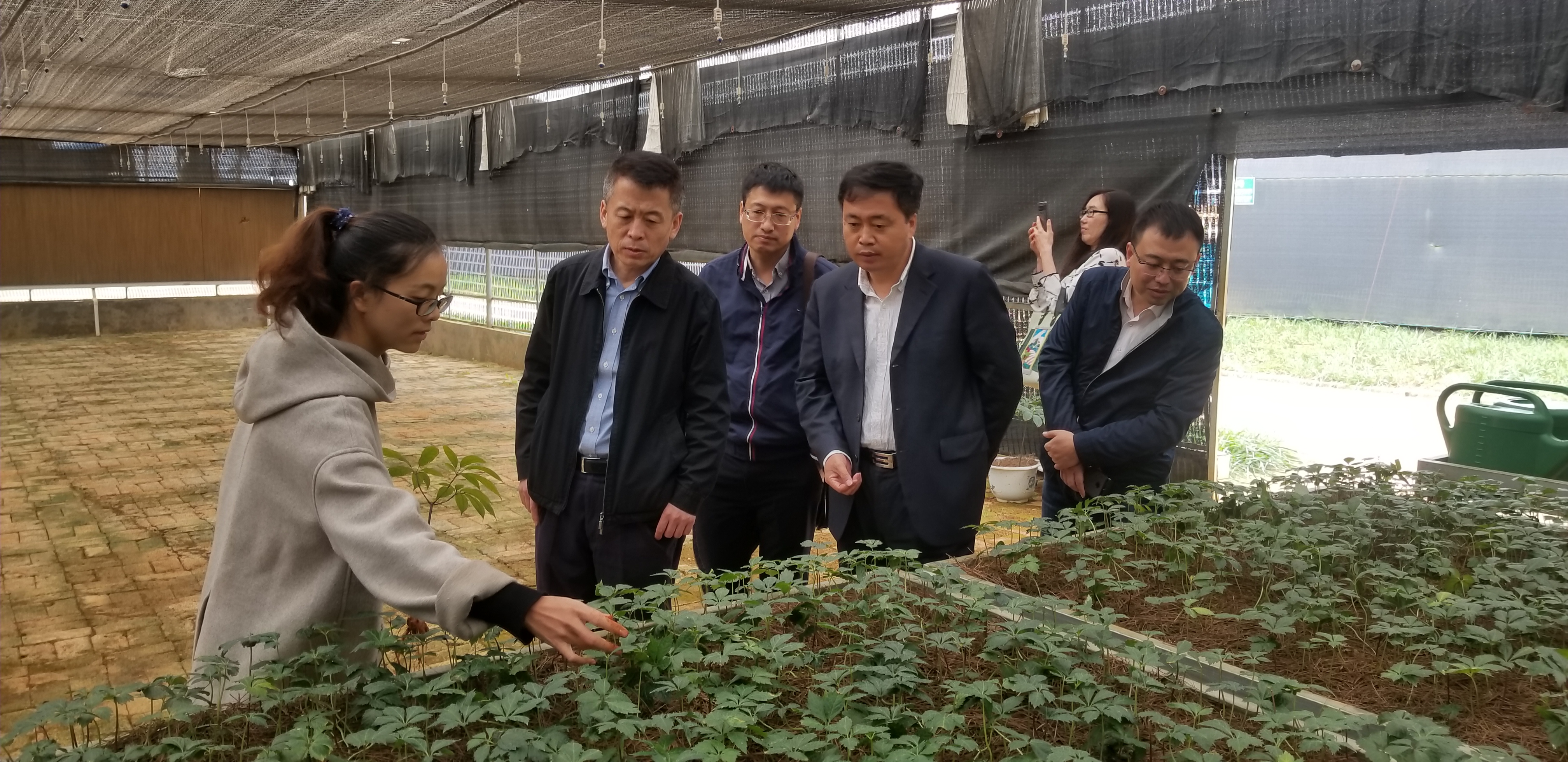 zoty中欧体育·(中国集团)官方网站