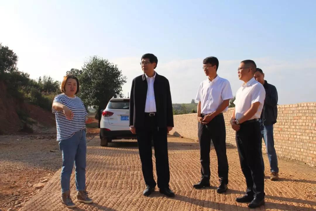 zoty中欧体育·(中国集团)官方网站