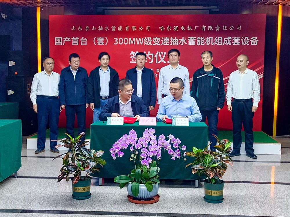 zoty中欧体育·(中国集团)官方网站