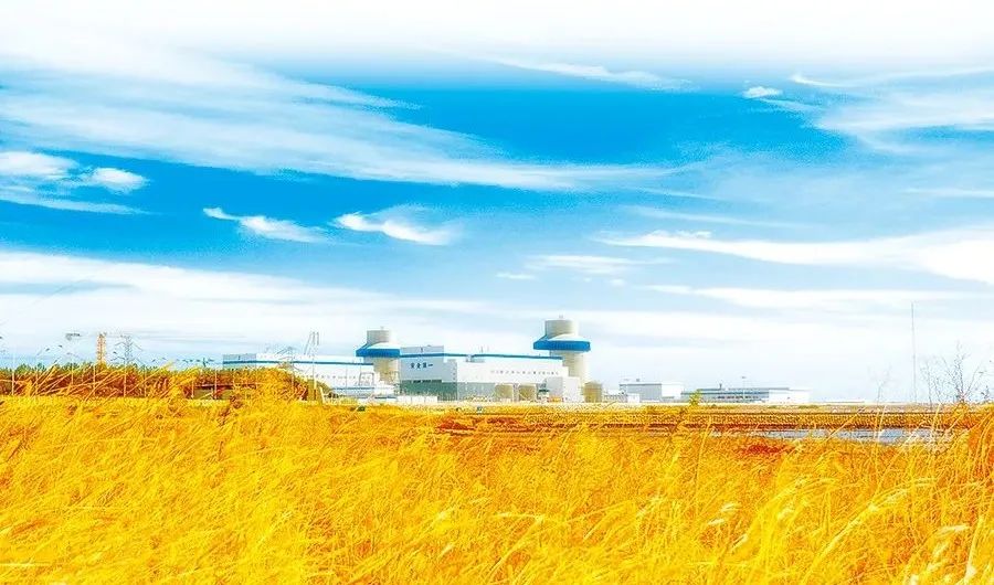 zoty中欧体育·(中国集团)官方网站