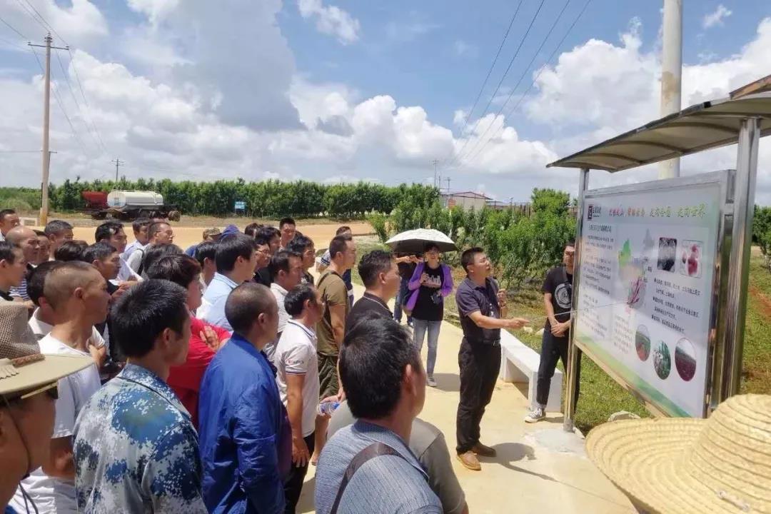 zoty中欧体育·(中国集团)官方网站