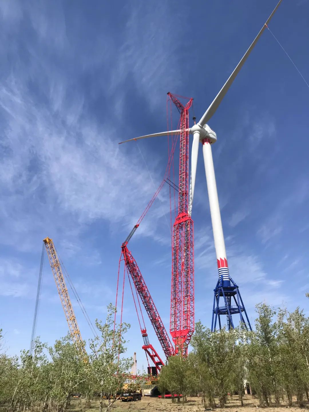 zoty中欧体育·(中国集团)官方网站