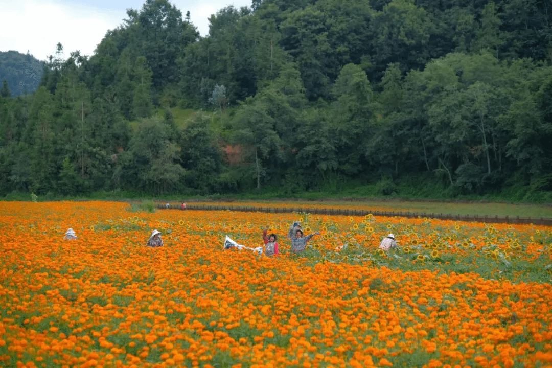 zoty中欧体育·(中国集团)官方网站