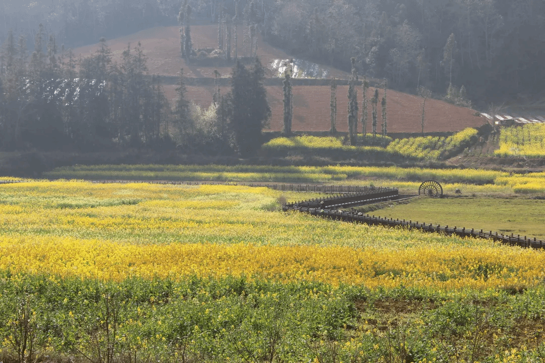 zoty中欧体育·(中国集团)官方网站
