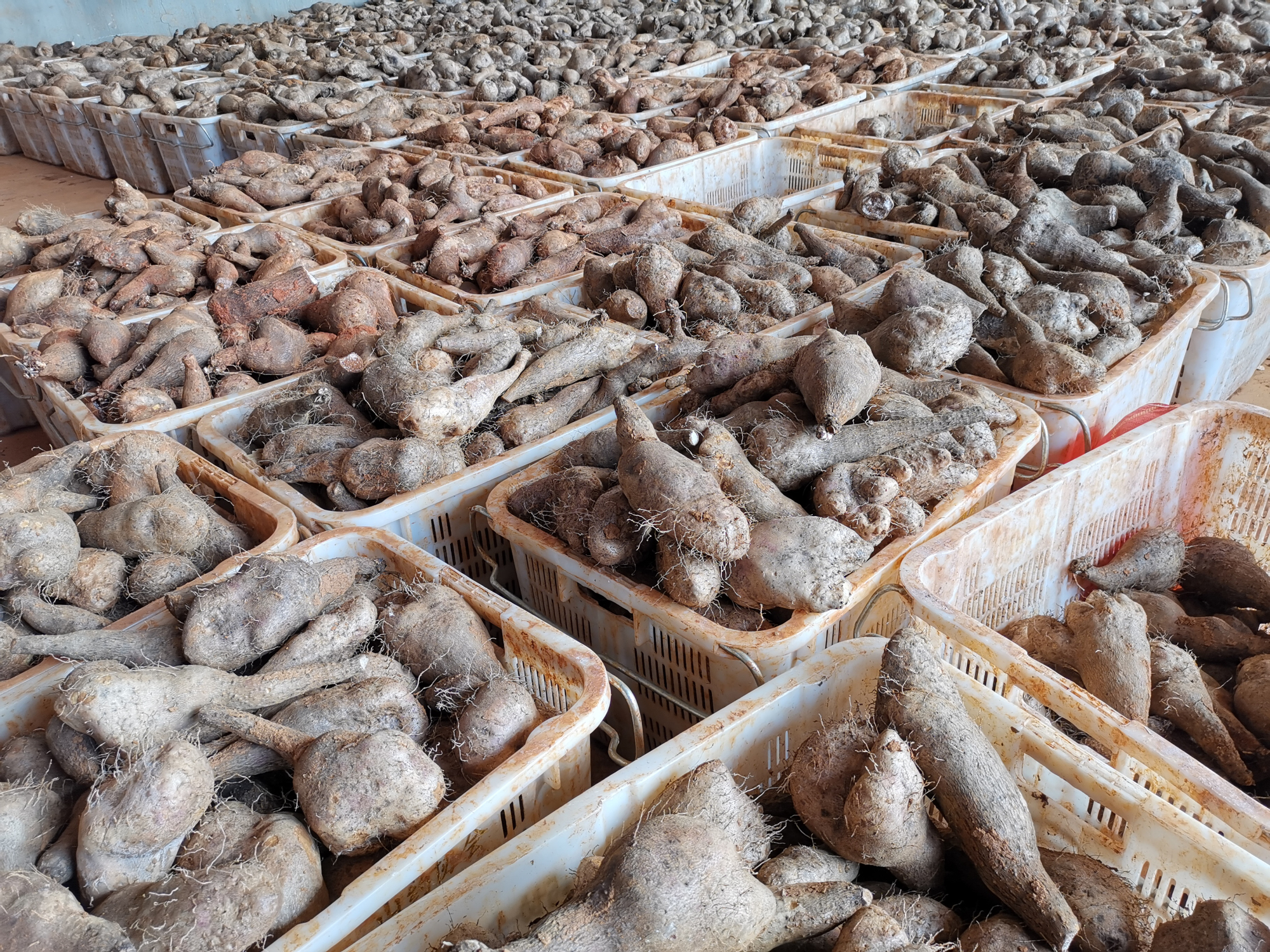 zoty中欧体育·(中国集团)官方网站